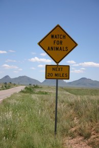 Watch for Animals