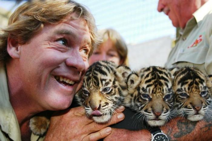 steve-irwin